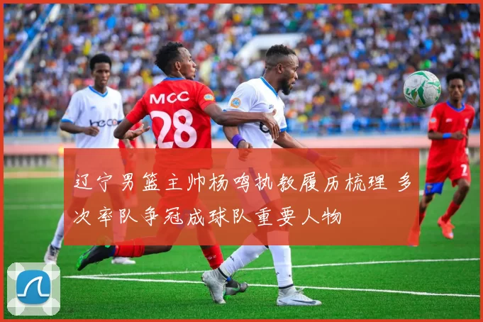 辽宁男篮主帅杨鸣执教履历梳理 多次率队争冠成球队重要人物