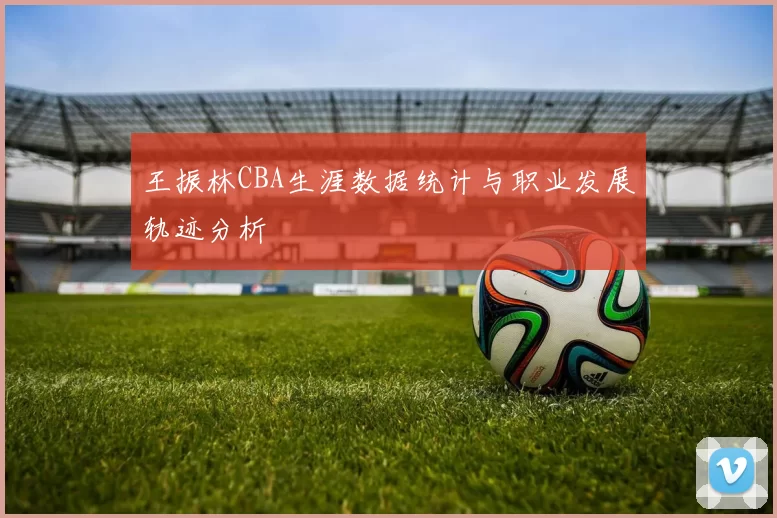 王振林CBA生涯数据统计与职业发展轨迹分析