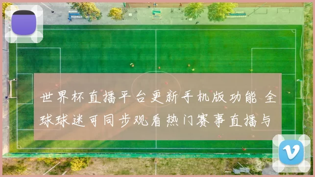 世界杯直播平台更新手机版功能 全球球迷可同步观看热门赛事直播与回放