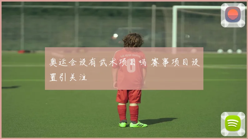 奥运会设有武术项目吗 赛事项目设置引关注