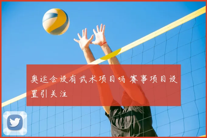 奥运会设有武术项目吗 赛事项目设置引关注